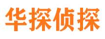 龙海市调查公司